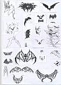 Animali 048